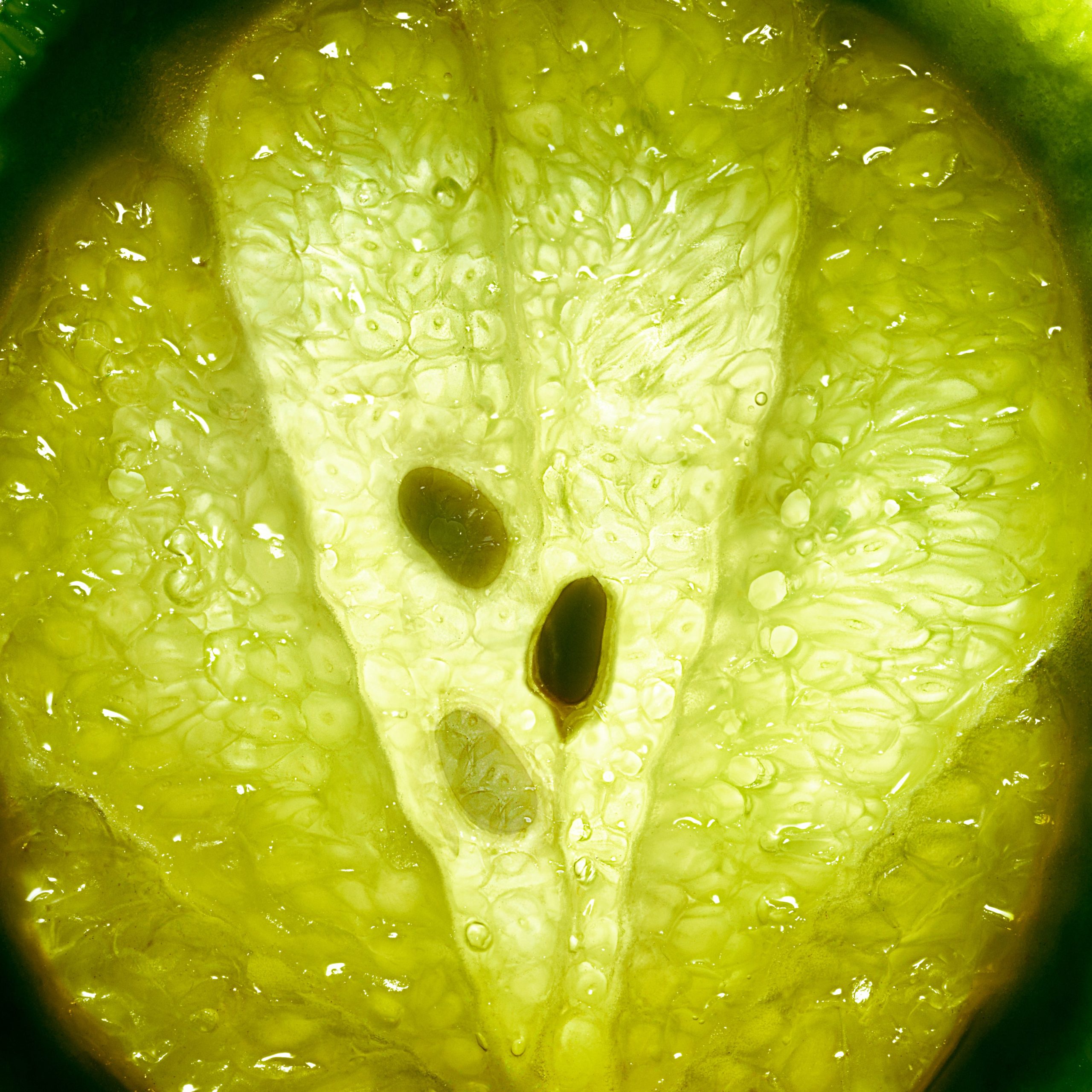 Aventus_2026_Campaign_Bergamot_Supporting_Visual_1x1_f77797d7-ffa0-418e-92a2-6bd4e4f4ec78.jpg